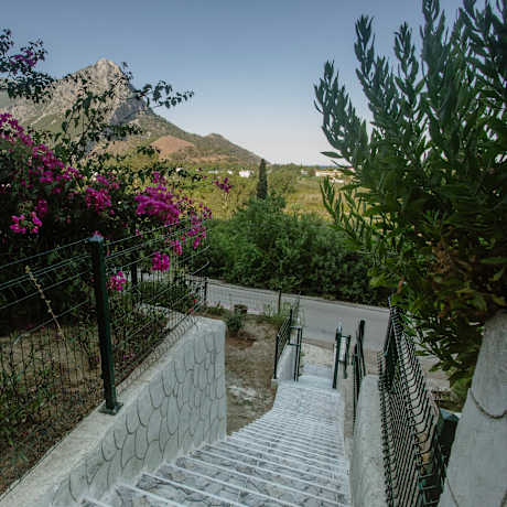 Villa Green & White House